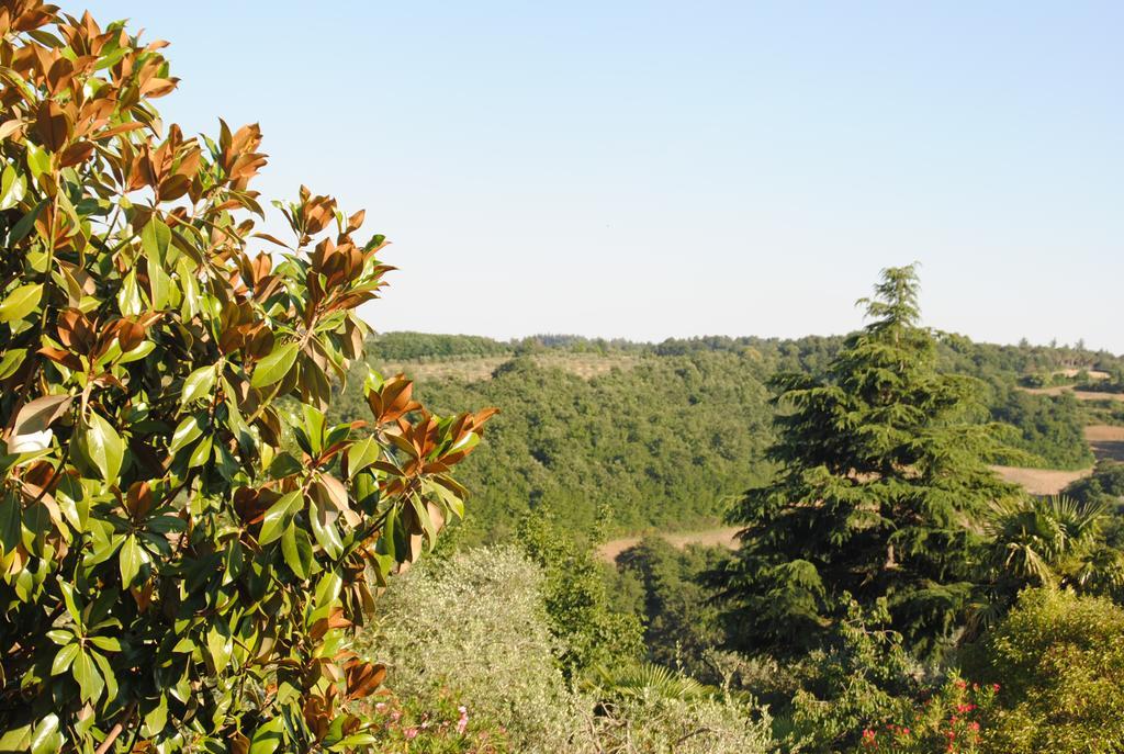 Il Gelsomino Del Perugino Villa Città della Pieve Екстериор снимка